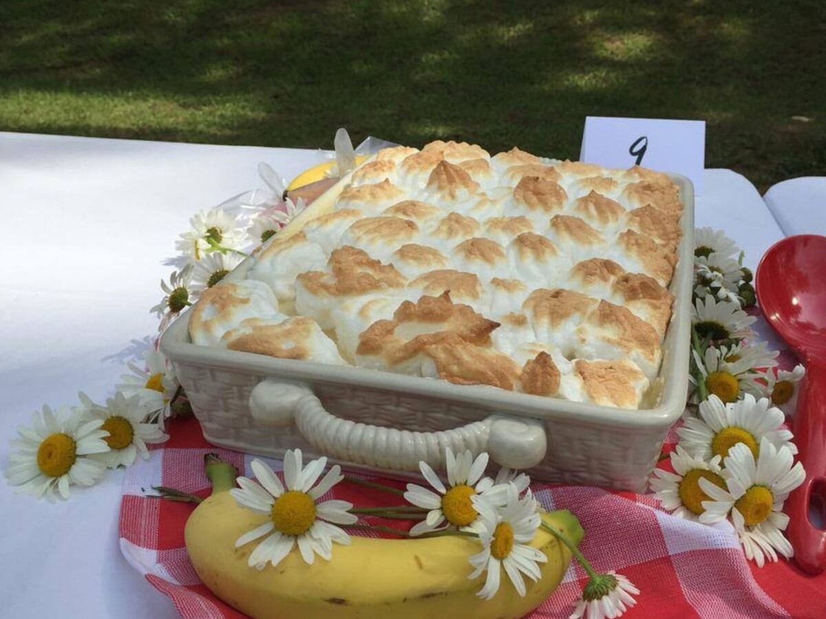 FESTIVAL FOCUS: State Banana Pudding Festival of Georgia in Irwinton