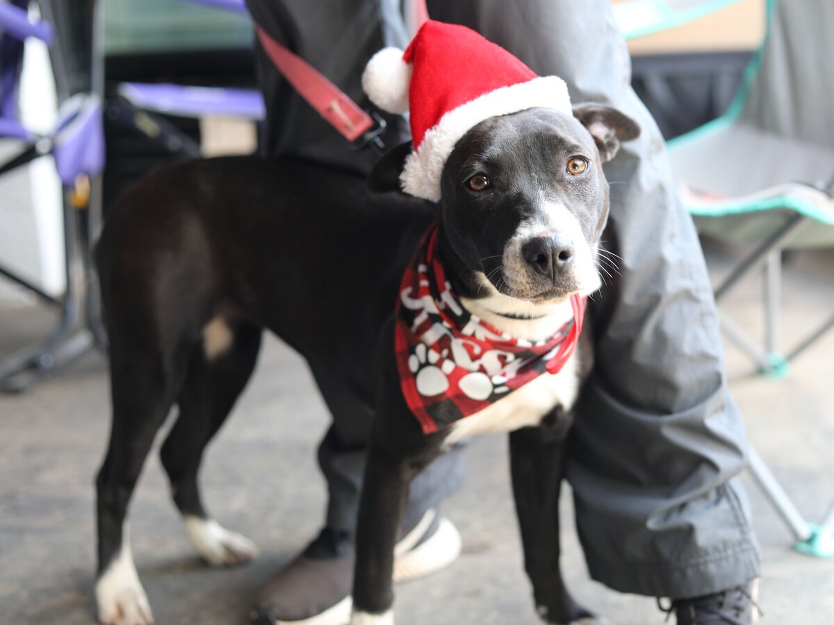 7 Day Weather and Astronomy Forecast for Macon and Middle Georgia (12/15-12/21)