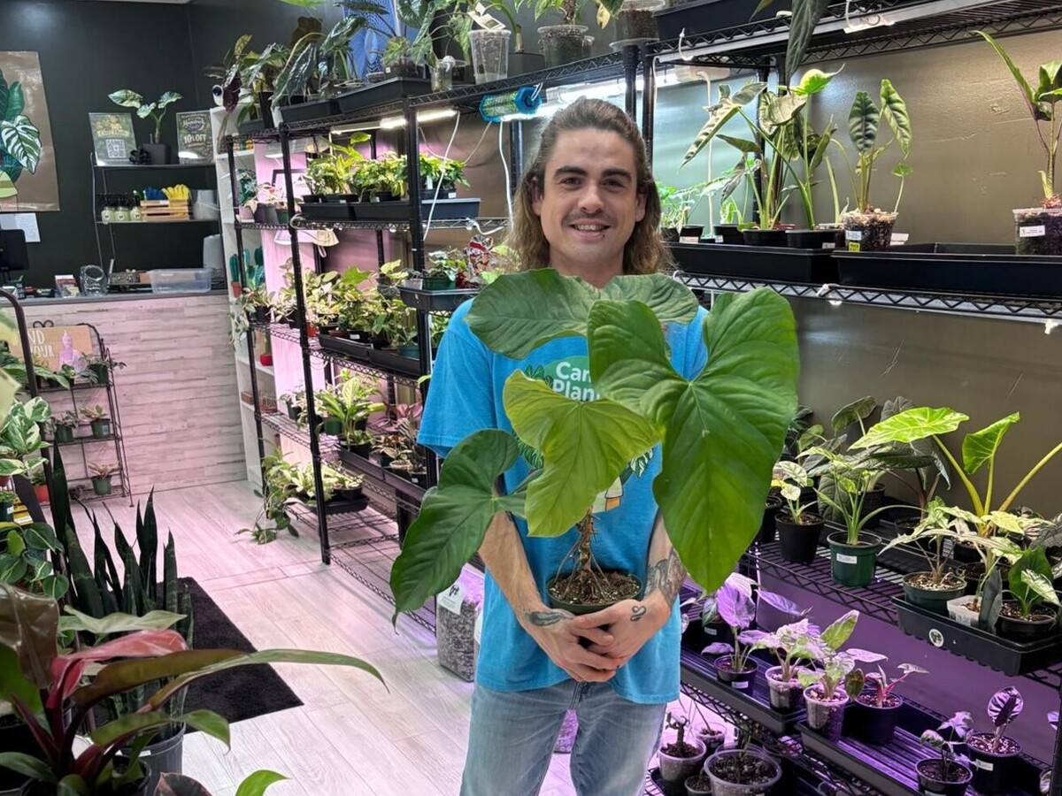 Adventures in the Heart of Georgia: Things to Do this Weekend in Macon and Greater Middle Georgia