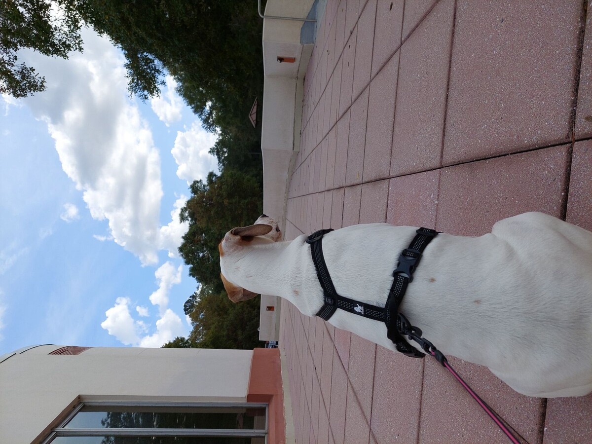 7 Day Weather and Astronomy Forecast for Macon and Middle Georgia (3/16-3/22)