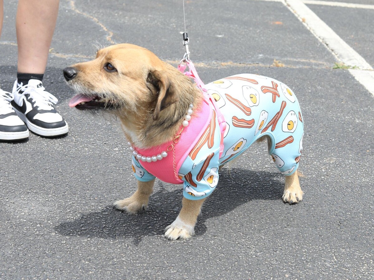 7 Day Weather and Astronomy Forecast for Macon and Middle Georgia (4/27-5/3)