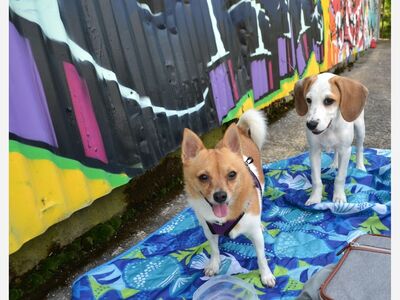 Triangle Arts is one of the most colorful places in Macon!