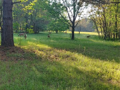 Fun Things to Do in Middle Georgia this Week