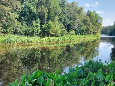 Fun and Interesting Things to Do in Middle Georgia this Week