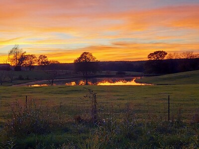 Fun Things to Do this Week in the Heart of Georgia