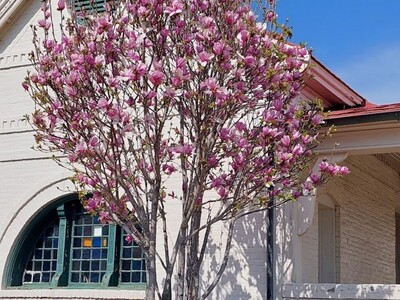 Georgia Military College Native Plant Center Expands Hours and Launches Spring Lecture Series