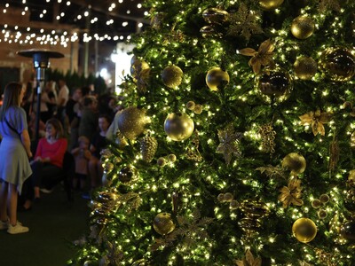 Weekend Adventures in the Heart of Georgia: Friday, November 21st through Sunday, November 23rd