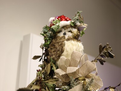 Weekend Adventures in the Heart of Georgia: Friday, November 28th through Sunday, November 30th