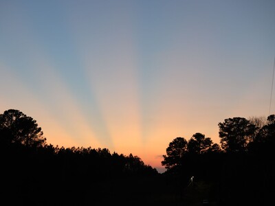 Weekday Adventures in the Heart of Georgia: Monday, November 24th through Thursday, November 27th