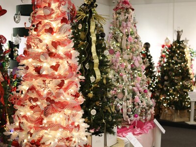 Weekday Adventures in the Heart of Georgia