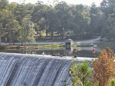 Adventures in the Heart of Georgia: Things to Do this Weekend in Macon and Greater Middle Georgia