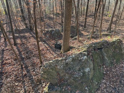 Weekend Adventures in Middle Georgia