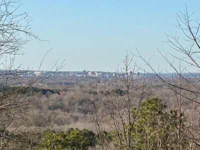 Weekday Adventures in the Heart of Georgia