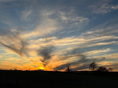 Adventures in the Heart of Georgia: Things to Do this Weekend in Macon and Greater Middle Georgia