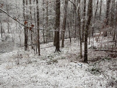 7 Day Weather and Astronomy Forecast for Macon and Middle Georgia (1/19-1/25)