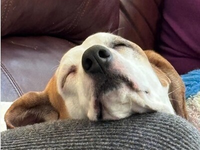 Adventures in the Heart of Georgia: Things to Do this Weekend in Macon and Greater Middle Georgia