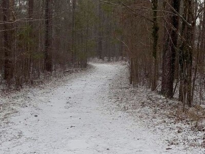 Adventures in the Heart of Georgia: Things to Do this Week in Macon and Greater Middle Georgia