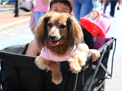 Weekend Adventures in Middle Georgia