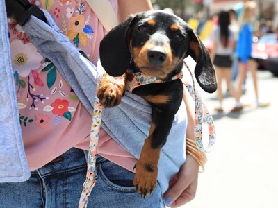 Weekday Adventures in the Heart of Georgia