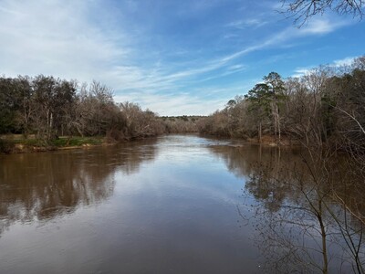 Adventures in the Heart of Georgia: Things to Do this Week in Macon and Greater Middle Georgia