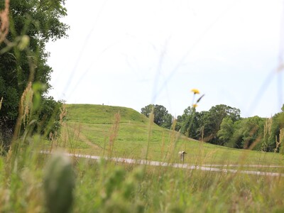 Weekday Adventures in the Heart of Georgia (4/20-4/23)