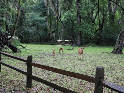 Weekend Adventures in the Heart of Georgia (7/3-7/5)