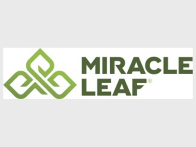 Miracle Leaf - Macon Grand opening Trunk or treat