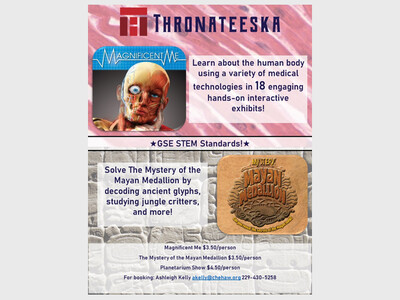 Magnificent Me and Mystery of the Mayan Medallion