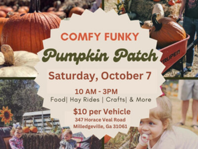 Comfy Funky Pumpkin Patch at Comfort Farms in Milledgeville
